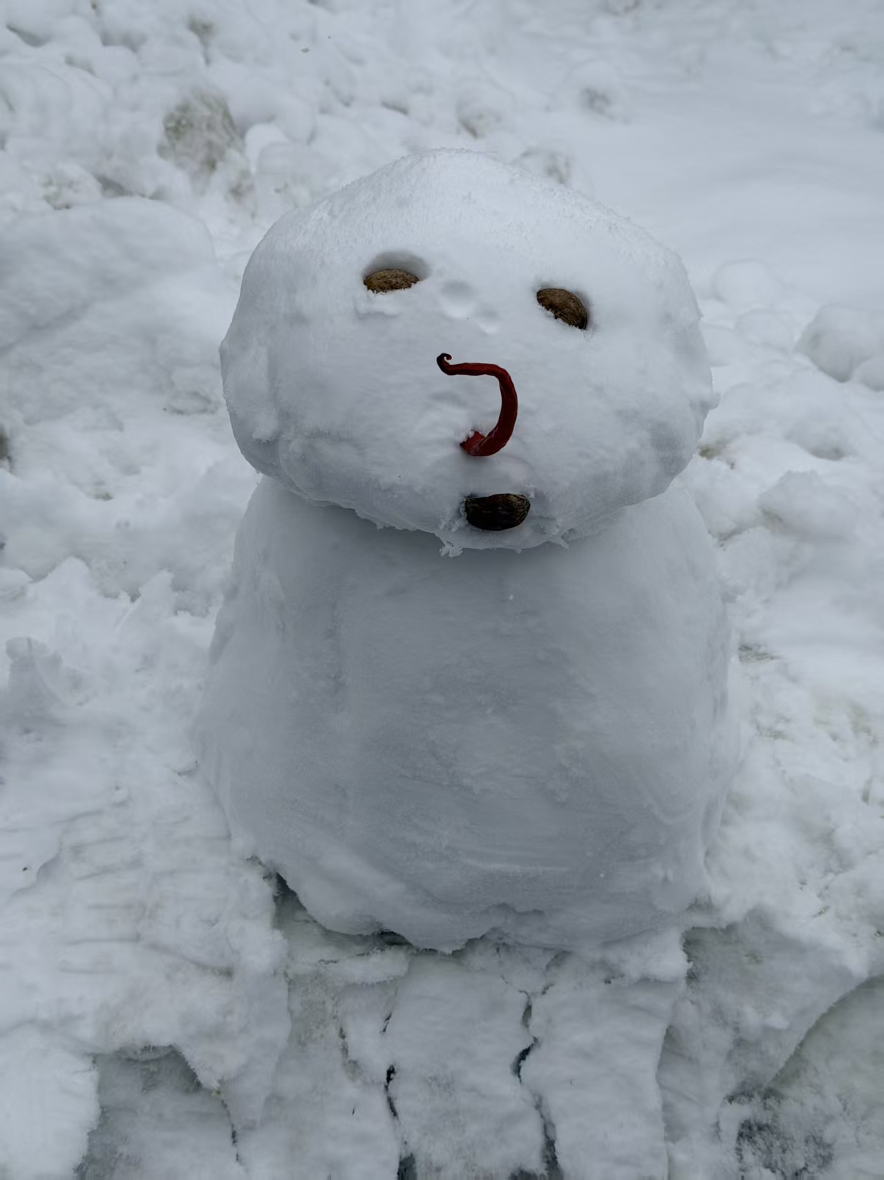 杂记丨3月：枯木逢几春