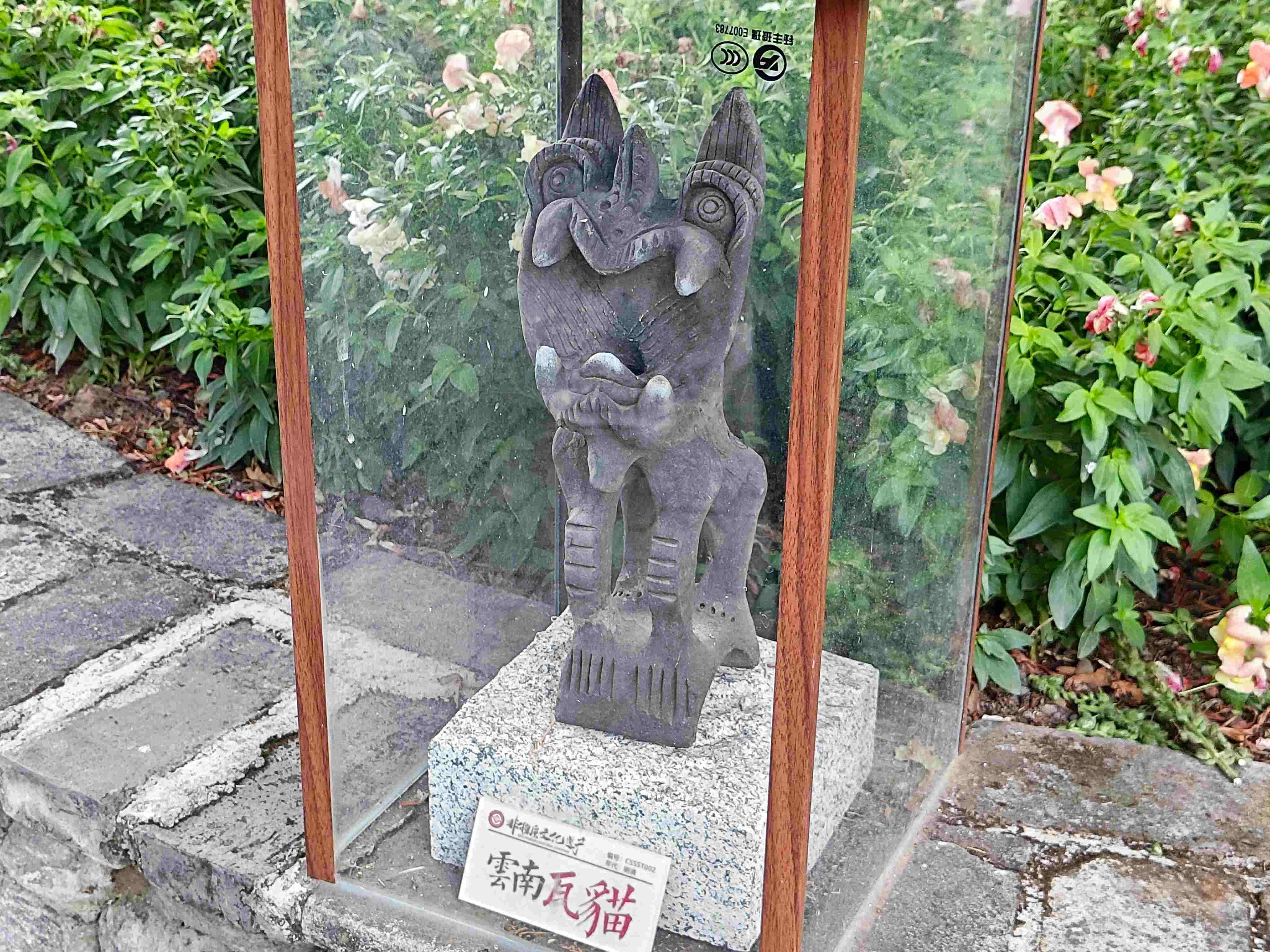 云南瓦猫